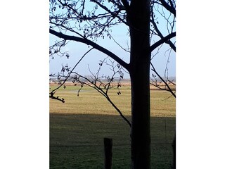 Holiday house Ouddorp Environment 30