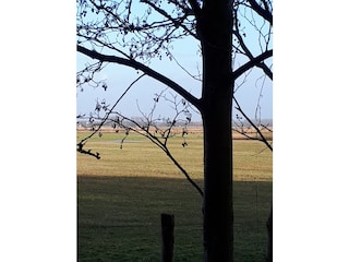 Vakantiehuis Ouddorp Omgeving 27