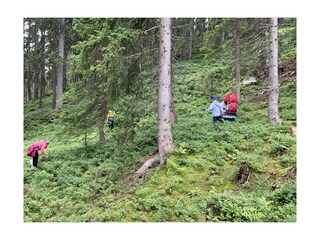 ... wunderbare Wanderwege in direkter Nähe