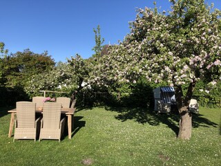 Der Garten mit Sonnen- und Schattenplätzen