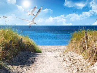 Der schönste Weg im Leben ist der nach Sylt