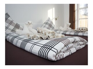 Ferienhaus Borkum  18