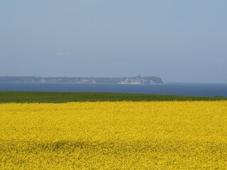 Blick auf das Kap Arkona