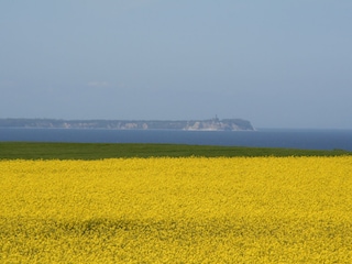 Blick auf das Kap Arkona