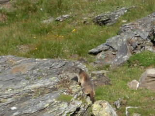 Appartamento per vacanze Rauris Ambiente 18
