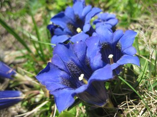 Appartamento per vacanze Rauris Ambiente 19