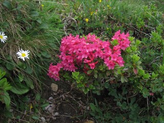 Appartamento per vacanze Rauris Ambiente 20