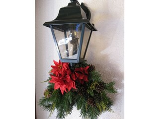 Casa per le vacanze Dienten Registrazione all'aperto 12