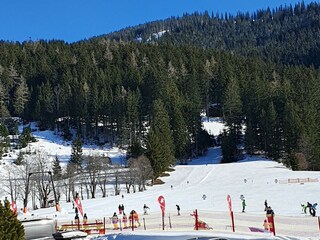 Casa per le vacanze Dienten Registrazione all'aperto 8