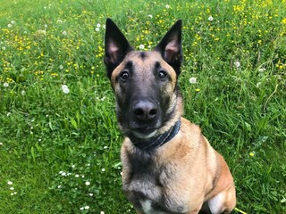 Chalet Bramberg am Wildkogel  28