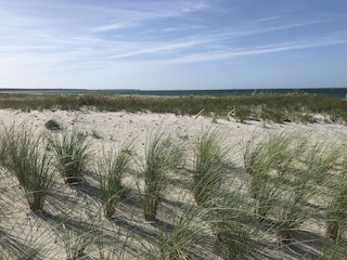 Feiner Sandstrand bei uns in Prerow