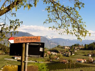 Appartamento per vacanze Lana Ambiente 15