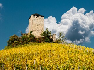 Appartamento per vacanze Lana Ambiente 16