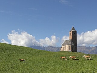 Appartamento per vacanze Lana Ambiente 18