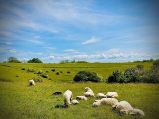 Landschaft