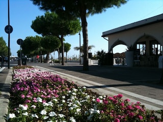 Ferienhaus Lido delle Nazioni Umgebung 12