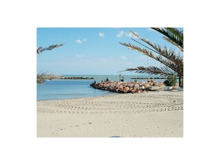 Ferienhaus Lido delle Nazioni Umgebung 18