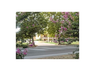 Ferienhaus Lido delle Nazioni Außenaufnahme 5