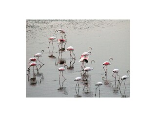 Holiday house Comacchio Environment 13