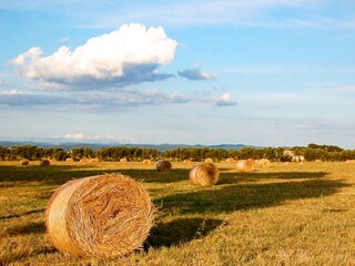 Appartamento per vacanze San Vincenzo Ambiente 19