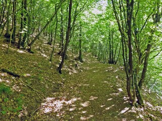 Vakantiehuis San Marcello Pistoiese Omgeving 33