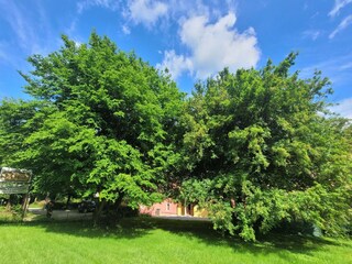 Maison de vacances San Marcello Pistoiese Enregistrement extérieur 8