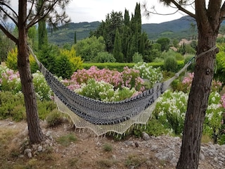 Villa Félines-Minervois Registrazione all'aperto 14
