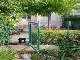 Holiday house Sant Pere Pescador Outdoor Recording 11