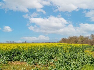 Casa de vacaciones Sant Pere Pescador Entorno 35
