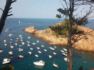Maison de vacances Begur Environnement 39