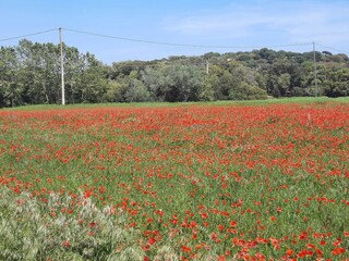 Vakantiehuis Begur Omgeving 36