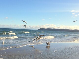 Reges Treiben am Strand