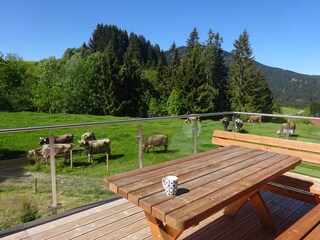 Casa per le vacanze Jungholz Registrazione all'aperto 6