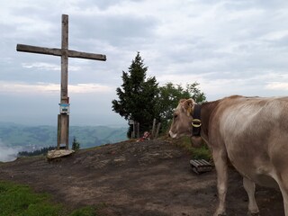Casa per le vacanze Jungholz Ambiente 27