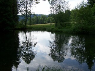 Casa per le vacanze Jungholz Ambiente 28