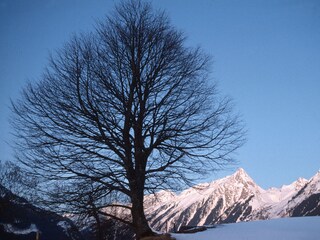 Appartement Mayrhofen Omgeving 17