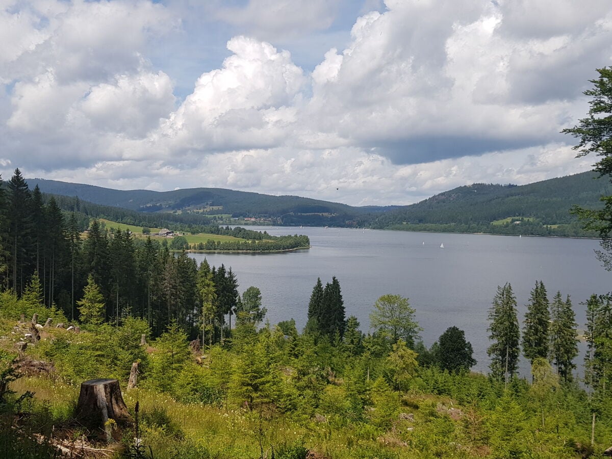 Schluchsee Kaiserbucht, Blick auf den Unterkrummenhof