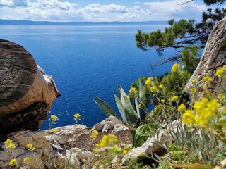 Villa Podgora Grabación al aire libre 18
