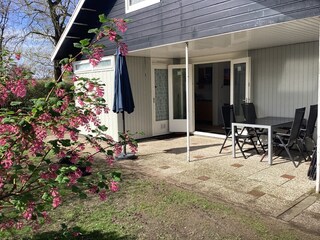 Appartamento per vacanze Julianadorp Registrazione all'aperto 3