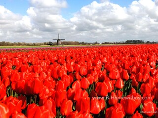 Casa per le vacanze Bergen (Holland) Ambiente 23