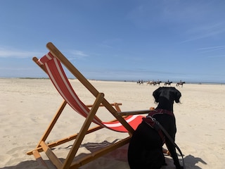 Casa de vacaciones Renesse Entorno 35