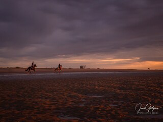 Casa de vacaciones Renesse Entorno 37