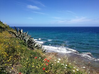 Casa per le vacanze Bosa Registrazione all'aperto 15