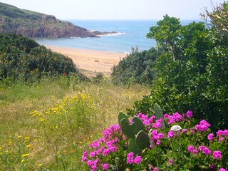 Casa per le vacanze Bosa Ambiente 30