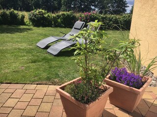 Apartamento de vacaciones Kühlungsborn-West Grabación al aire libre 5