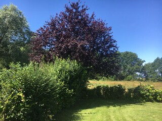 Appartamento per vacanze Kühlungsborn-West Registrazione all'aperto 6