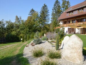 Grand appartement de vacances en Forêt-Noire, avec balcon et jouissance d'un jardin - Dachsberg - image1