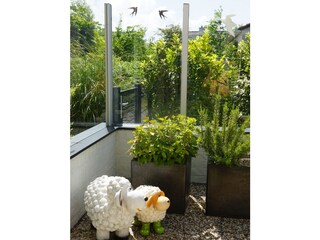 Bungalow De Cocksdorp Registrazione all'aperto 7