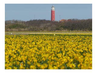 Bungalow De Cocksdorp Ambiente 34