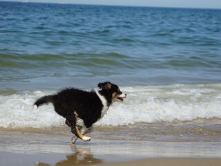 Bungalow De Cocksdorp Ambiente 32